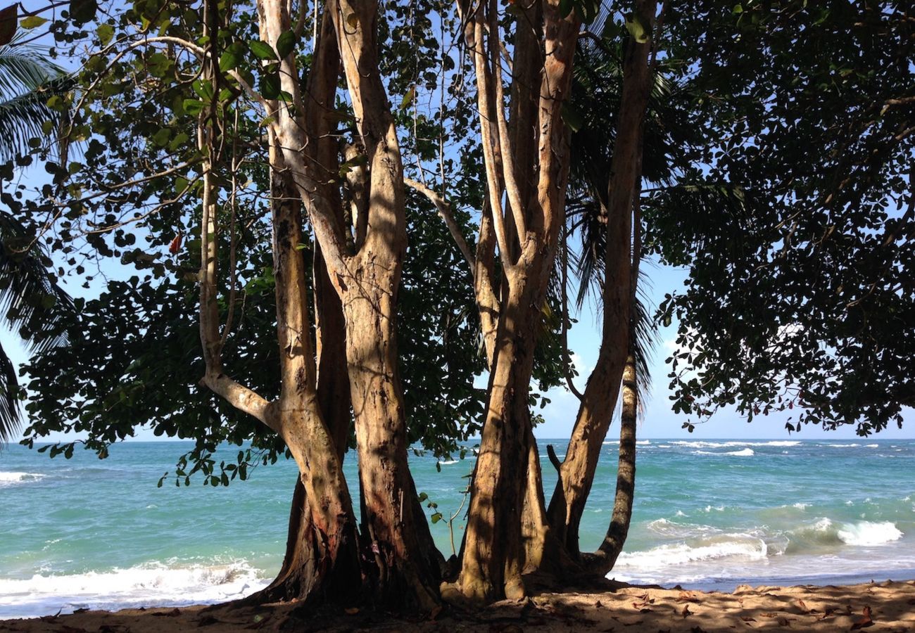 Casa en Manzanillo - Casa Ranitas