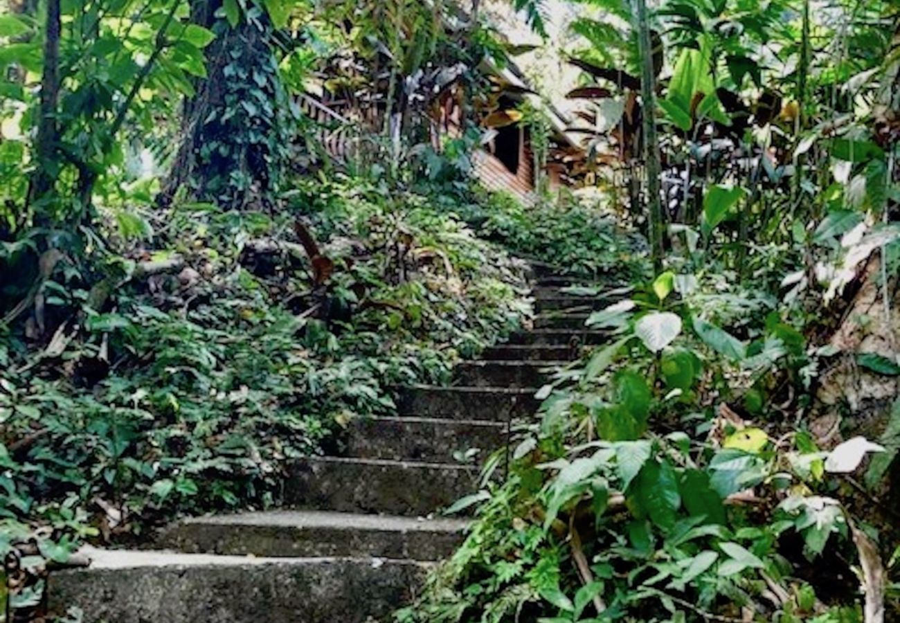 Casa en Manzanillo - Casa Ranitas