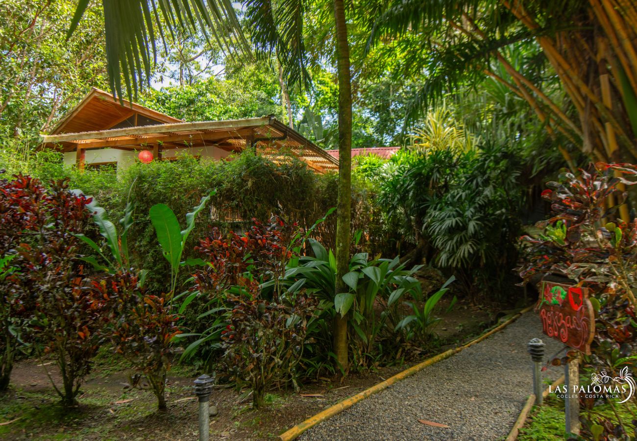 Casa en Cocles - Rojiza Las Palomas