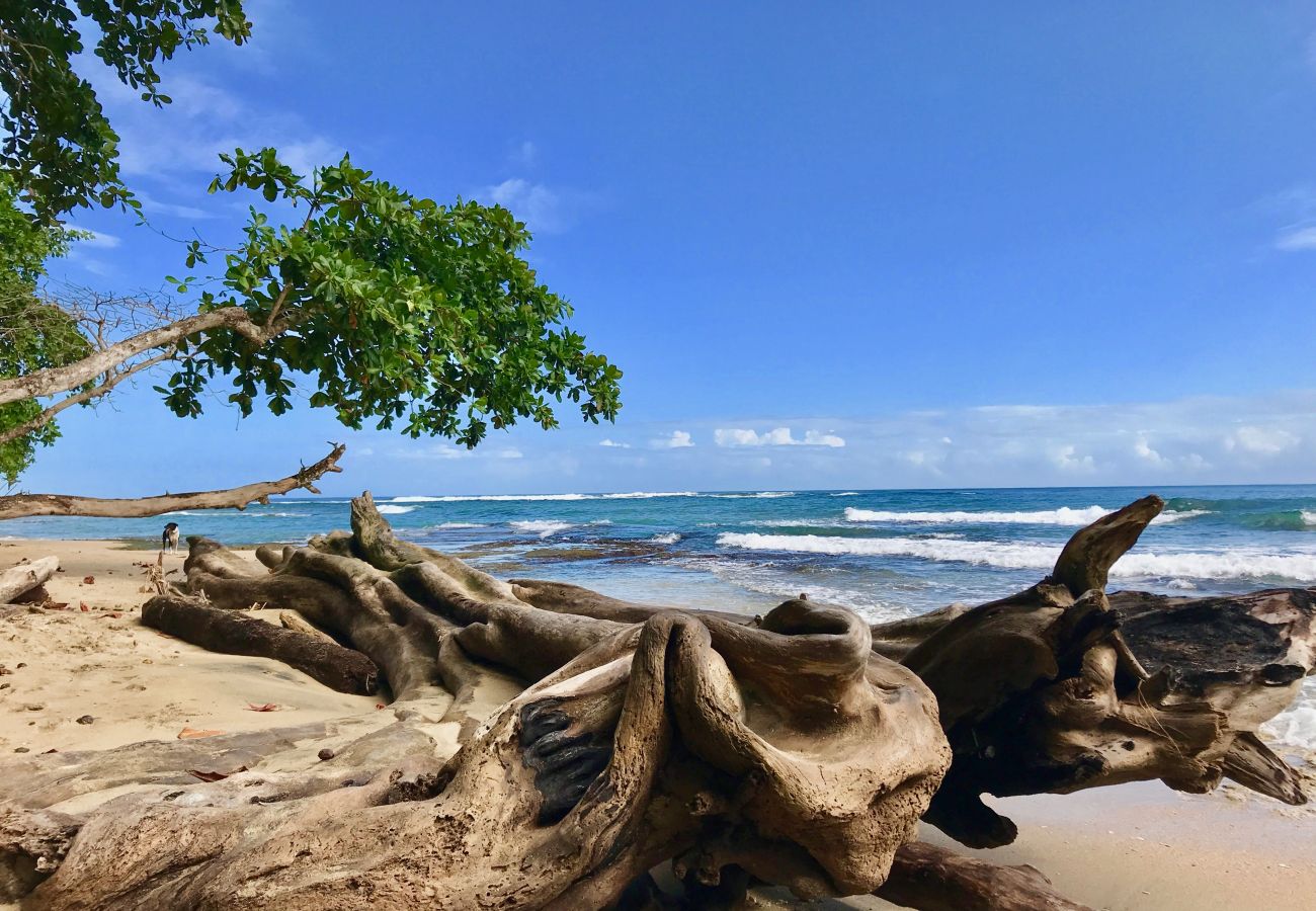 Casa en Playa Chiquita - Casa Tica 