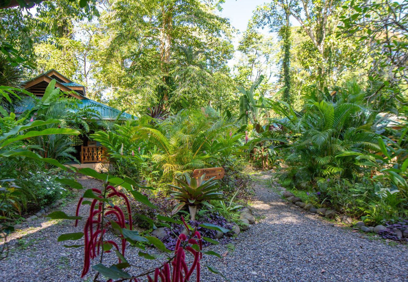 Bungalow en Playa Chiquita - Macaw Chiquita Beach Casitas 