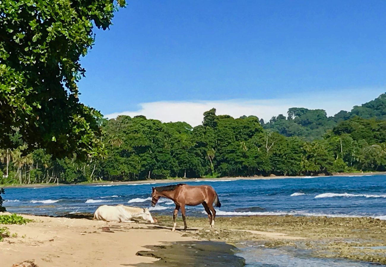 Bungalow en Playa Chiquita - Chiquita Beach Casitas