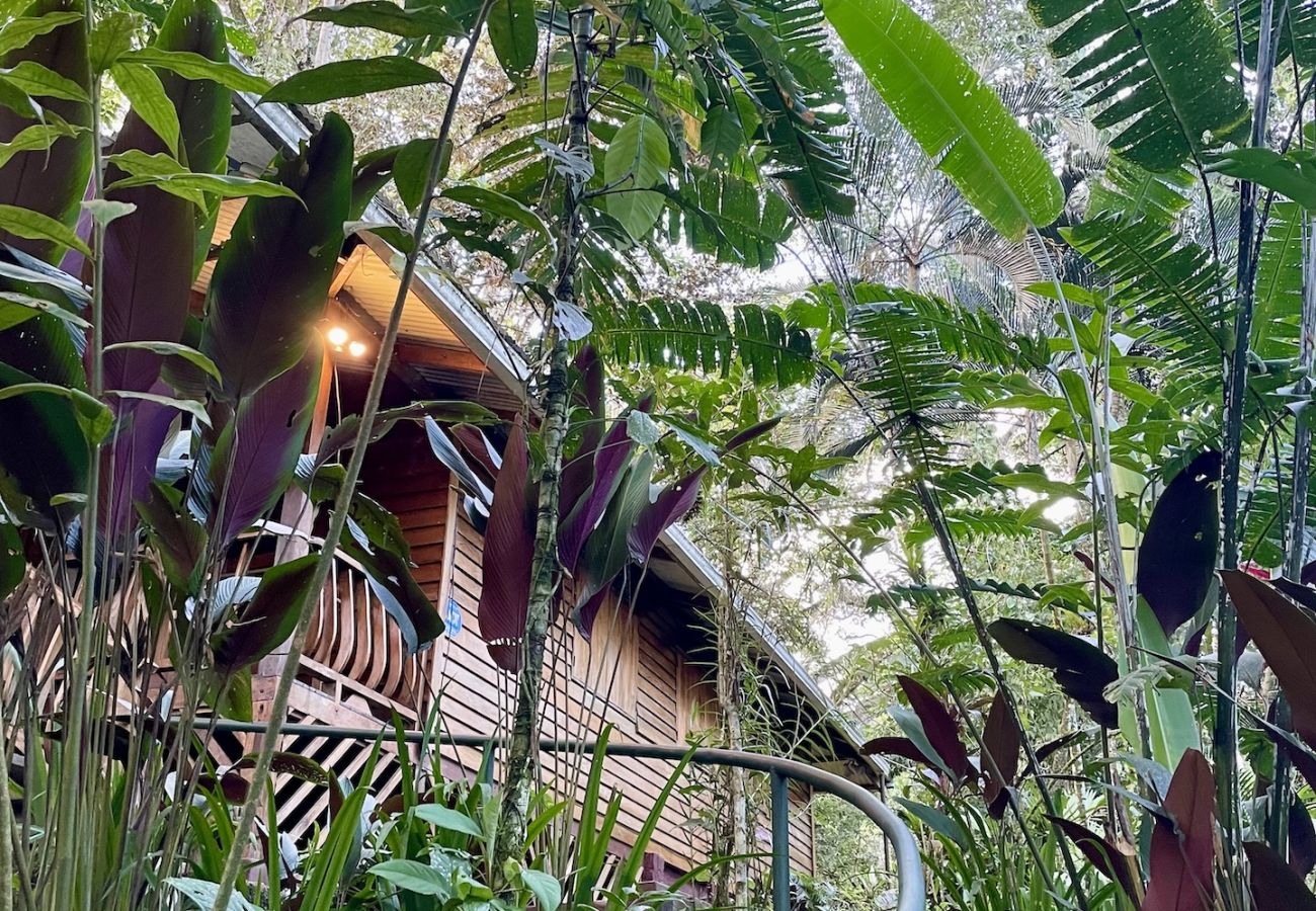 Bungalow en Manzanillo - Ranitas Casonita y Tranquila - Jungle Houses for nature lovers sleeps 8 