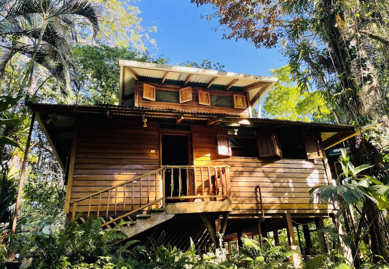 Bungalow en Manzanillo - Ranitas Casonita y Tranquila - Jungle Houses for nature lovers sleeps 8 