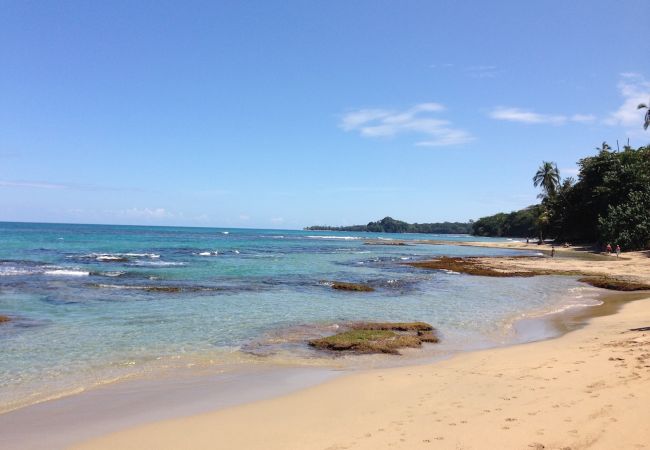 Ferienhaus in Cocles - Casa Margarita Ferienhaus in Cocles - Casa Margarita