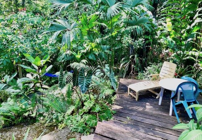 Ferienhaus in Manzanillo - Casa Ranitas Ferienhaus in Manzanillo - Casa Ranitas