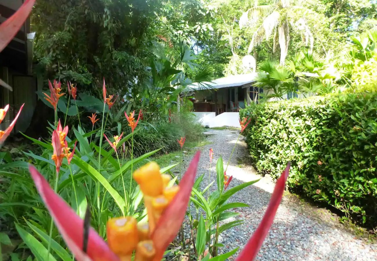 Bungalow in Punta Uva - Bungalow Coralina 2