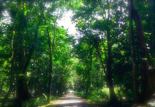 Bungalow in Manzanillo - Tranquila Cabin Bungalow in Manzanillo - Tranquila Cabin