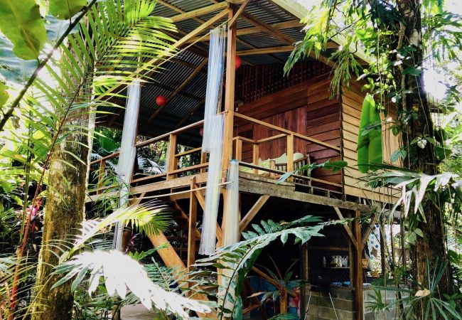 Bungalow/ verbunden mit der Villa in Manzanillo - Tranquila Cabin