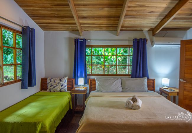 Ferienhaus in Cocles - Tortola Las Palomas Ferienhaus in Cocles - Tortola Las Palomas