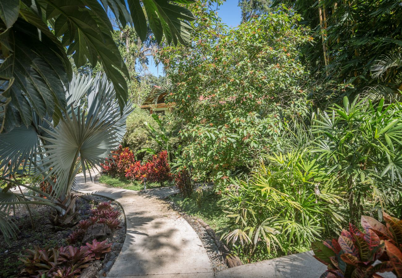 Ferienhaus in Cocles - Tortola Las Palomas