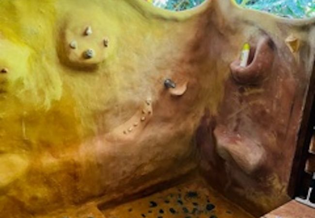 Ferienhaus in Manzanillo - Casonita  Ferienhaus in Manzanillo - Casonita