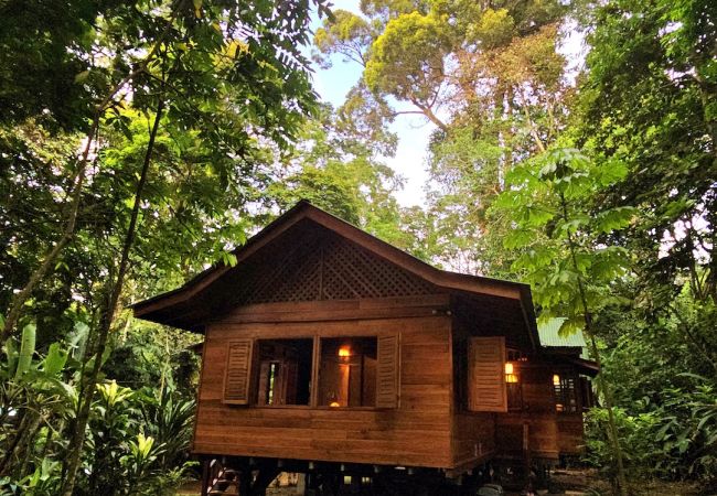 Ferienhaus in Cocles - Casa Idilio Ferienhaus in Cocles - Casa Idilio