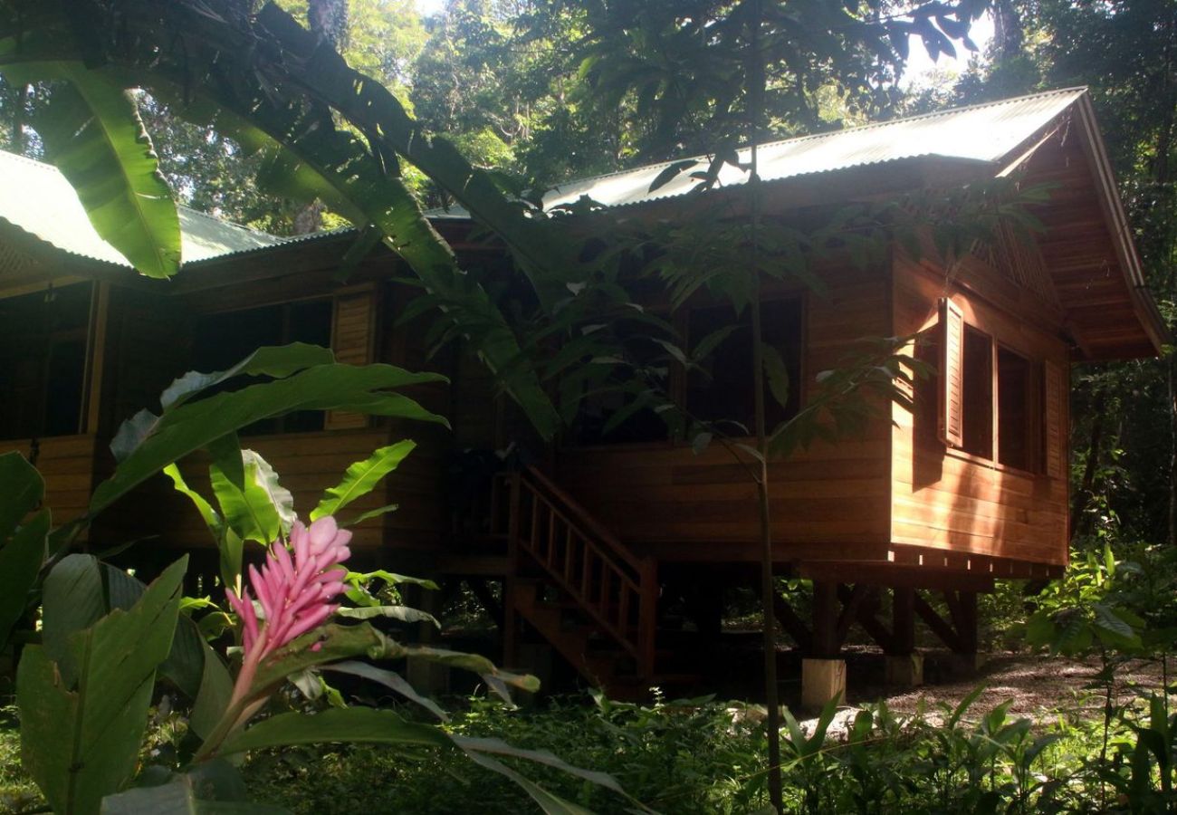 Ferienhaus in Cocles - Casa Idilio