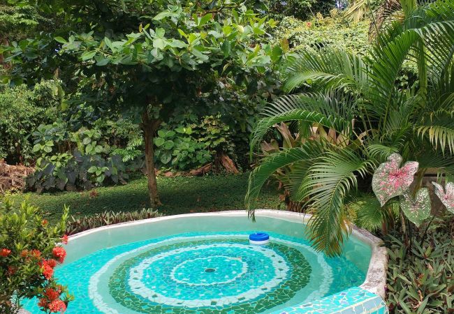 Ferienhaus in Cocles - Olingo Ferienhaus in Cocles - Olingo