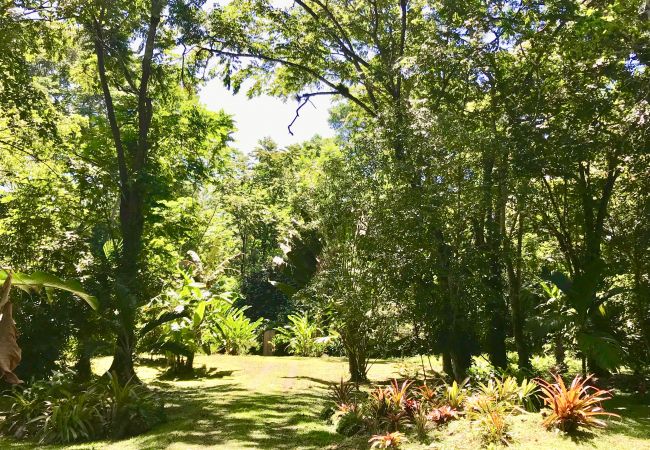 Bungalow à Playa Chiquita - Bungalow del Mar Bungalow à Playa Chiquita - Bungalow del Mar