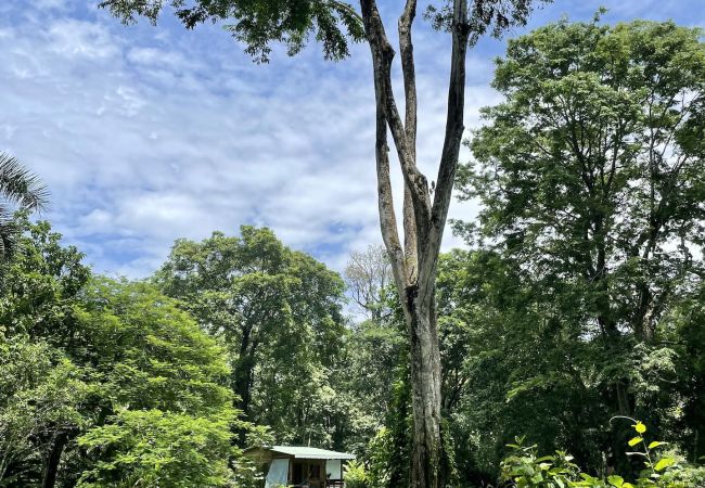 Bungalow à Playa Chiquita - Bungalow del Mar Bungalow à Playa Chiquita - Bungalow del Mar