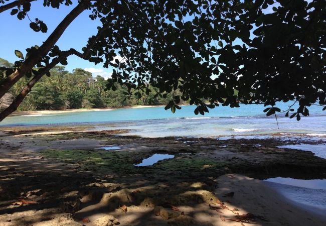 Maison à Punta Uva - Casa Matix  Maison à Punta Uva - Casa Matix