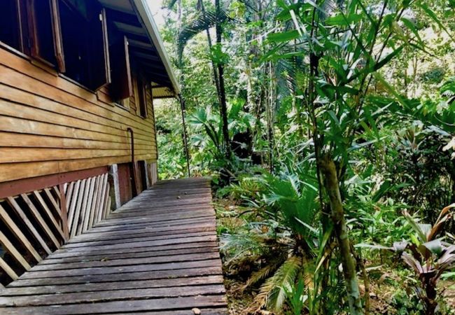 Maison à Manzanillo - Casa Ranitas Maison à Manzanillo - Casa Ranitas