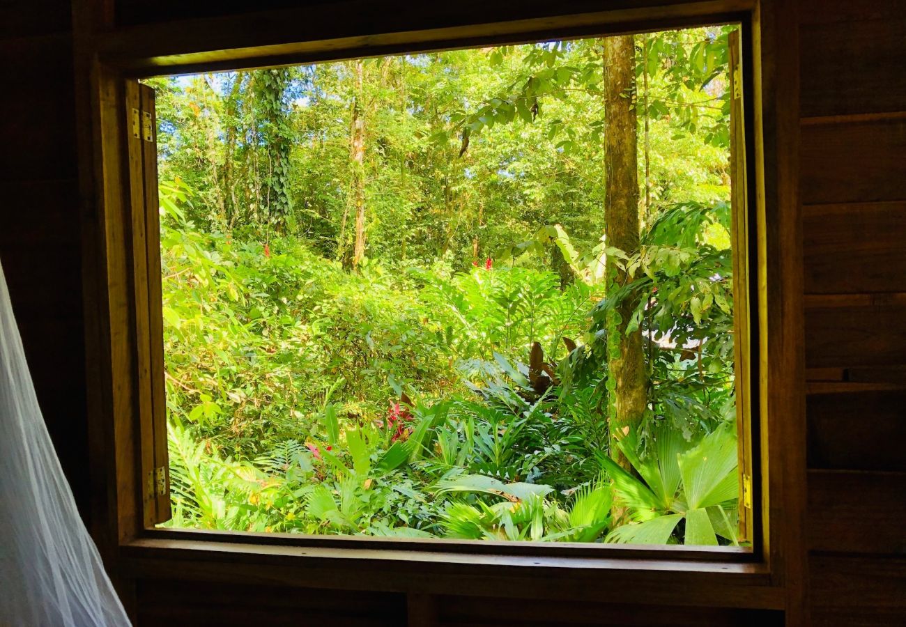 Bungalow à Manzanillo - Tranquila Cabin