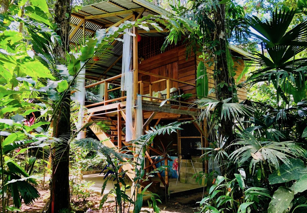 Bungalow à Manzanillo - Tranquila Cabin