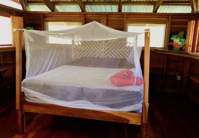 House in Manzanillo - Casa Ranitas House in Manzanillo - Casa Ranitas