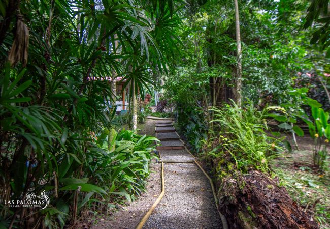 House in Cocles - Azulada Las Palomas House in Cocles - Azulada Las Palomas