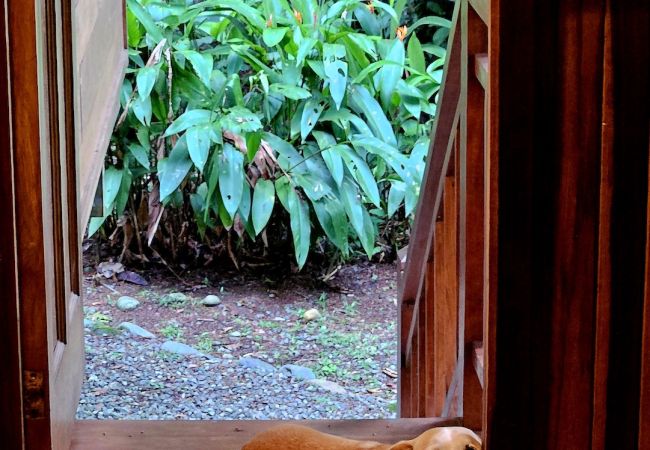 House in Cocles - Casa Idilio House in Cocles - Casa Idilio