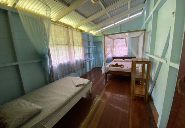 House in Cocles - Olingo House in Cocles - Olingo