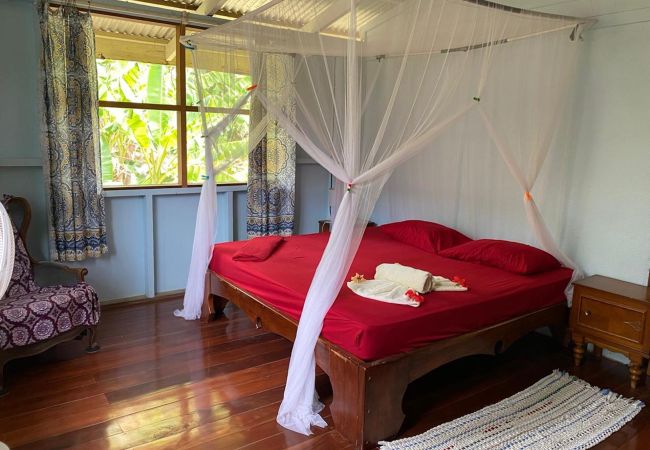 House in Cocles - Olingo House in Cocles - Olingo