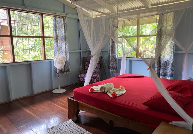 House in Cocles - Olingo House in Cocles - Olingo