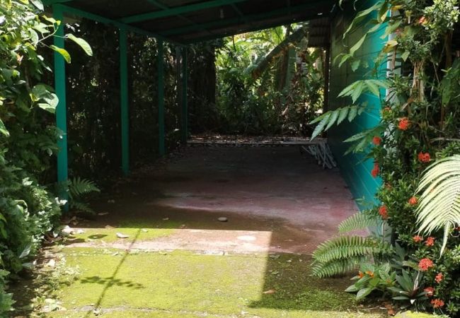 House in Cocles - Olingo House in Cocles - Olingo