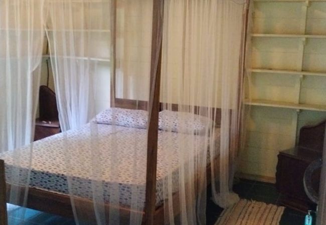 House in Cocles - Olingo House in Cocles - Olingo