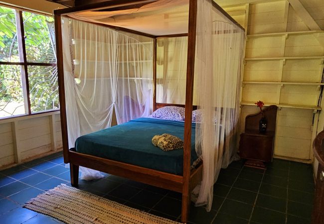 House in Cocles - Olingo House in Cocles - Olingo