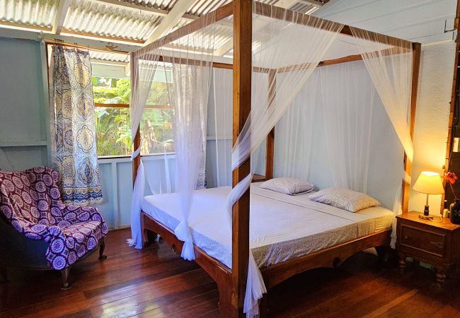 House in Cocles - Olingo House in Cocles - Olingo