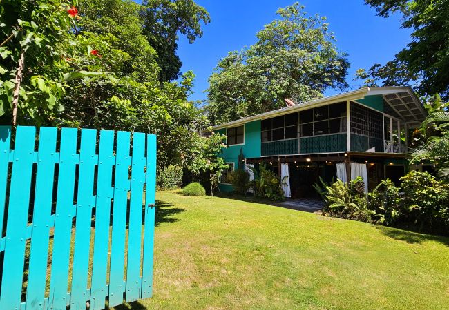 House in Cocles - Olingo House in Cocles - Olingo