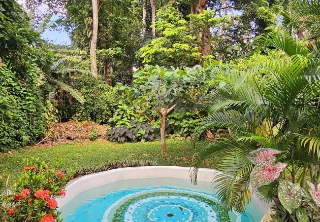 House in Cocles - Olingo House in Cocles - Olingo