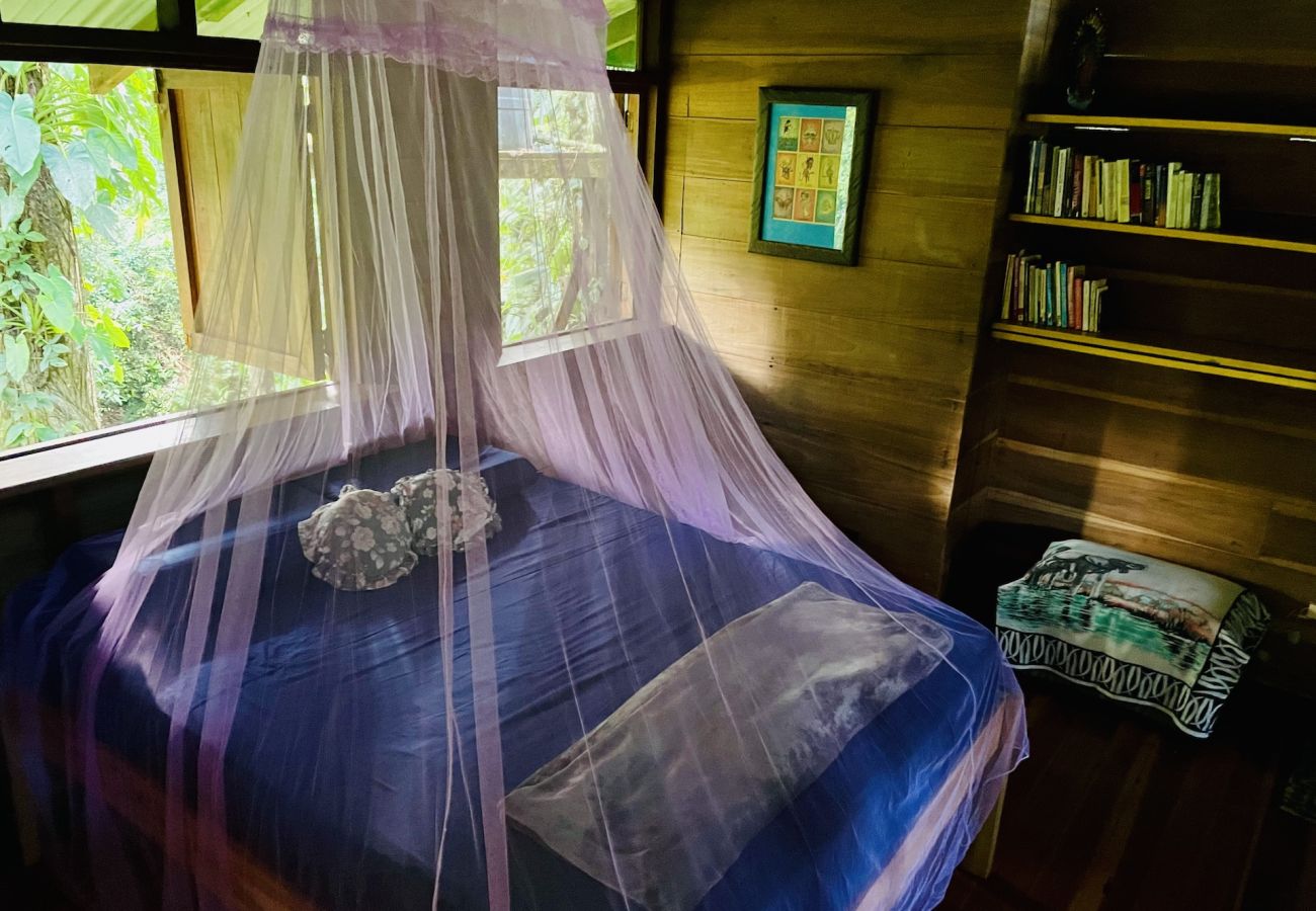 Bungalow in Manzanillo - Ranitas Casonita y Tranquila - Jungle Houses for nature lovers sleeps 8 